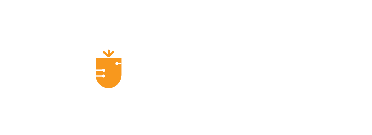 tushare